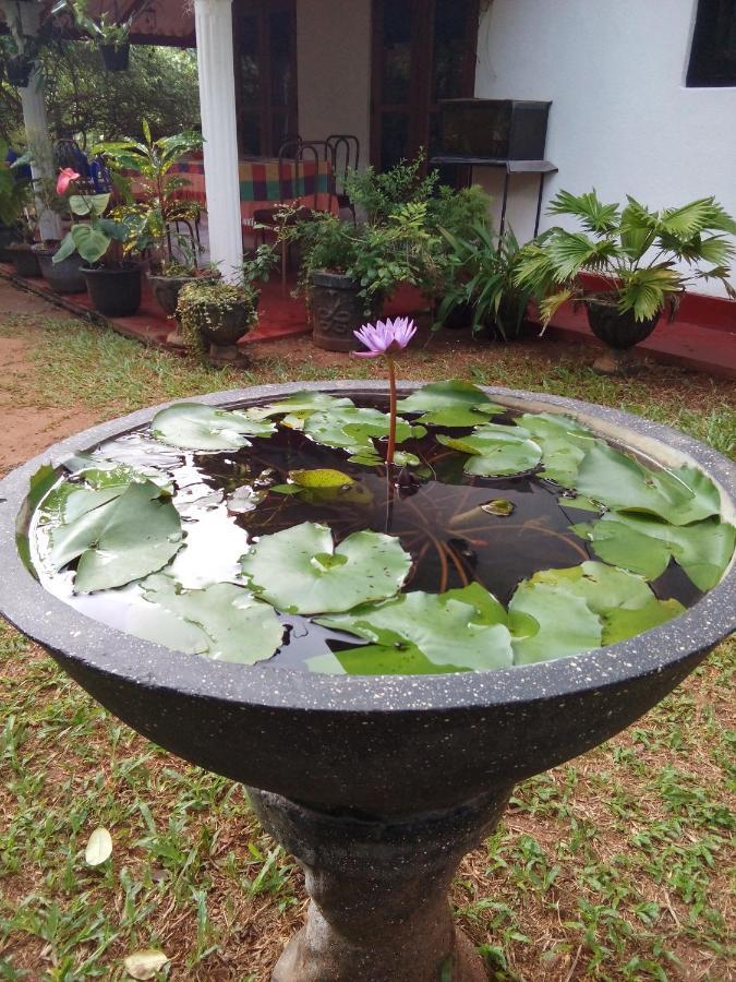 Lake House Homestay Anuradhapura Eksteriør bilde